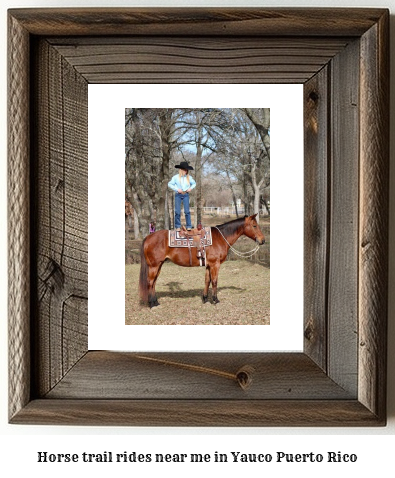 horse trail rides near me in Yauco, Puerto Rico